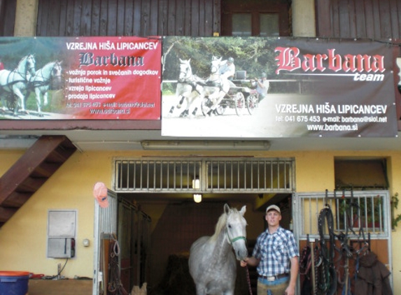 APEX Farrier Services - Littleton, CO