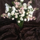 Cloud 9 Wedding Flowers