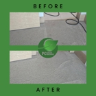 Park City Green Machine: Carpet Cleaning Services