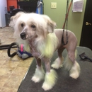Le'Pooche Pet Salon - Pet Services