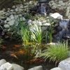 Make A Scene Landscaping And Water Features gallery