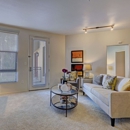 Windsor Pasadena Apartments - Apartments