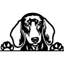 Fairway Dachshund Puppies - Pet Breeders