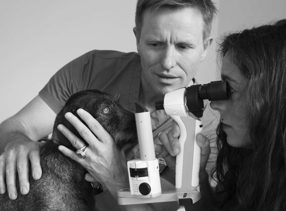 Eye Clinic For Animals - Artarmon, NSW