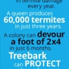 Treebark Termite & Pest Control gallery