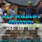 All Wildlife Control