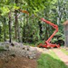 AAA Tree Experts