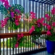 A Goode Florist