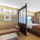 Microtel Inn & Suites by Wyndham Marietta - Hotels