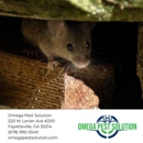 Omega Pest Solution - Pest Control Services