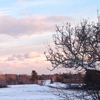 Wolfe's Neck Farm gallery