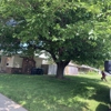 Northern Valley Tree Service gallery