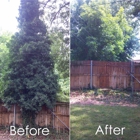 Urban Arborists Tree Service