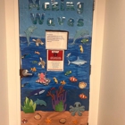 Autism Learning Partners Burlington