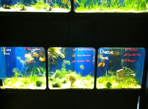 The Reef Aquarium Shop - Indianapolis, IN