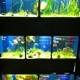The Reef Aquarium Shop