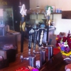 The Piggery Inc gallery
