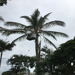 Active Tree Fellas - River Heads, QLD
