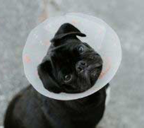 Howard Springs Veterinary Clinic - Howard Springs, NT