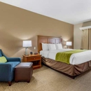 Comfort Inn & Suites Davenport - Quad Cities - Motels