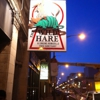 Wild Hare Music gallery
