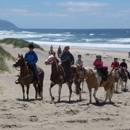 Green Acres Beach & Trail Rides - Horse Rentals