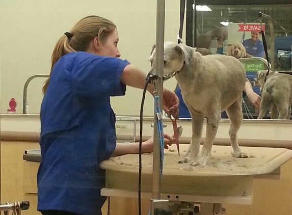 PetSmart - Manchester, NH