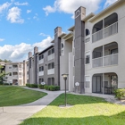 The Summit at Sabal Park Apartments