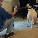 Way of a Dog - Pet Training