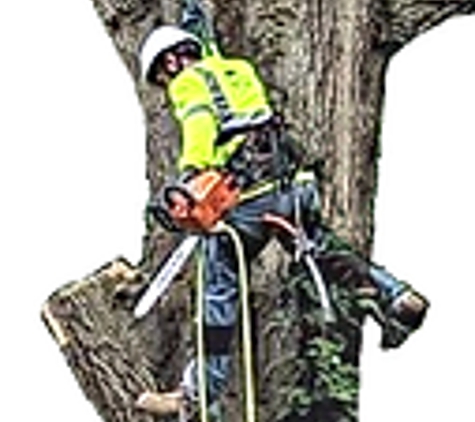 Erwin's Tree Service & Lawn Care - Marshville, NC