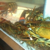 Red Lobster gallery
