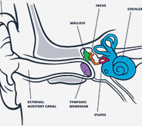 Viewmont Audiology - Hickory, NC