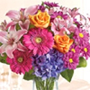 Phillips Flowers & Gifts - Florists