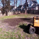 The Whole 9 Tree Service