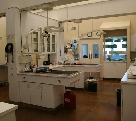 Animal Care Clinic - San Luis Obispo, CA