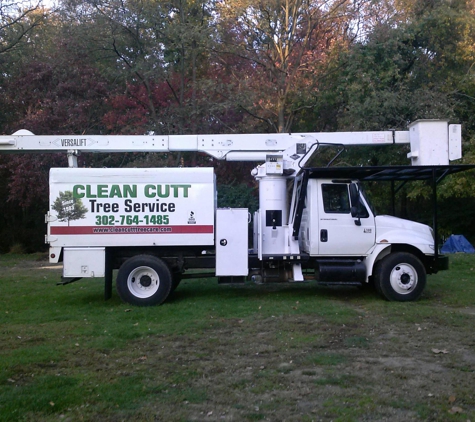 Clean Cutt Tree Service LLC - Wilmington, DE