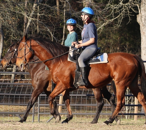 Henry's Home Horse and Human Sanctuary - The Woodlands, TX