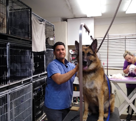 Cristy's Grooming 2 - Palm Bay, FL