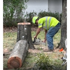 SAS Tree Service