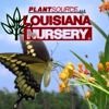 Louisiana Nursery gallery