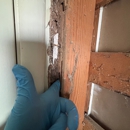 Reliable termite solutions - Pest Control Equipment & Supplies