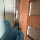 Reliable termite solutions