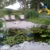 Little Rhody Water Gardens gallery