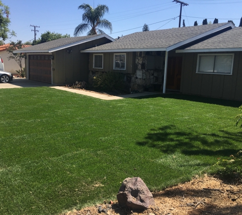 Luis Tree Service & Lawn Maintenance - Corona, CA