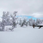 Barton Medical Clinic at Heavenly Mountain Resort