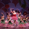 Contra Costa Ballet Centre gallery