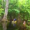 The Paddling Center at Shingle Creek gallery