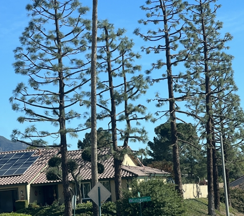 Ed's Tree Services - San Bernardino, CA