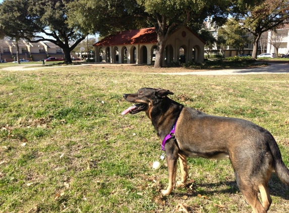 Cole Park Condo Association - Dallas, TX