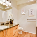 Big Trout Lodge - Apartments